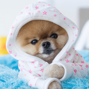 Fundraising Page: Maria Andrews